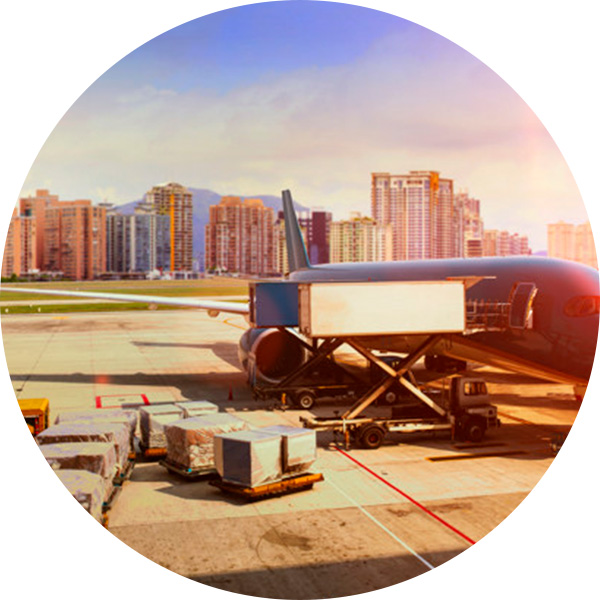 Módulo Exportaciones